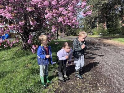 children in front of flowering tree
